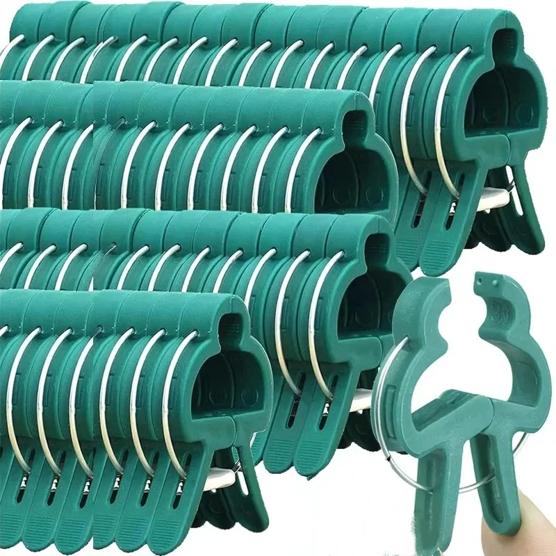 Clipes fixos para plantas, sup - Vine Climbing Plastic avaliação e preço