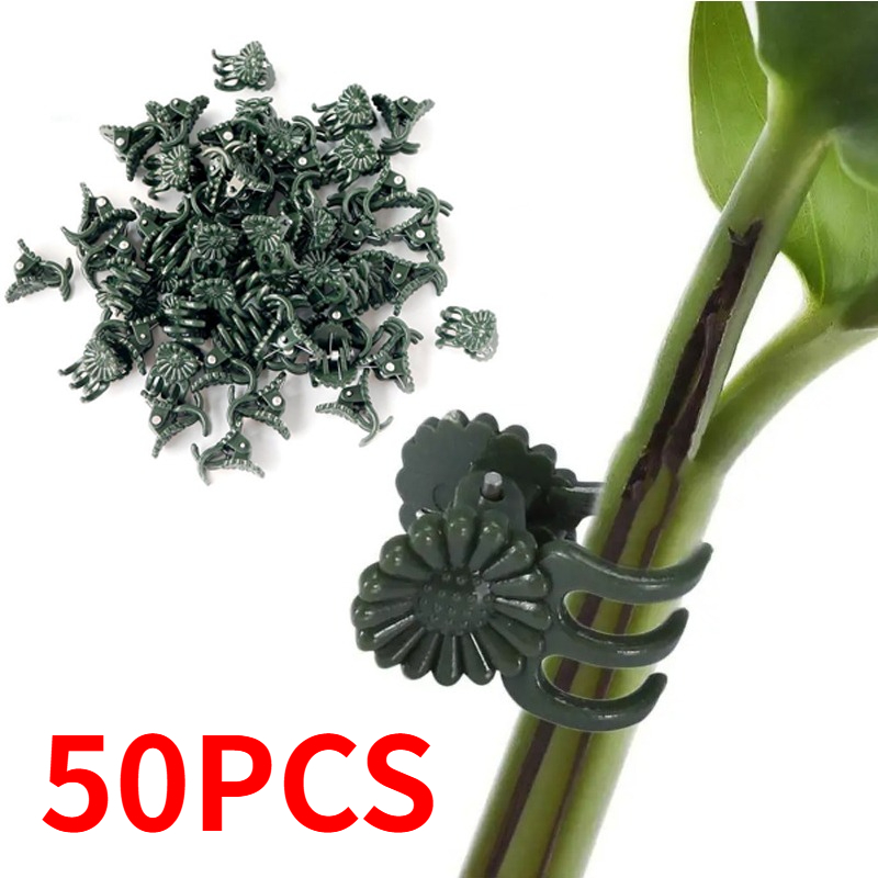 50 Peças de Clipes para Planta - Vine Climbing Plastic avaliação e preço