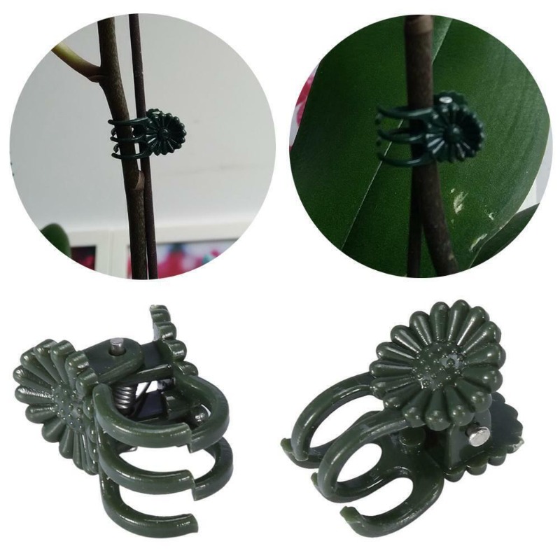 50 Peças de Clipes para Planta - Vine Climbing Plastic avaliação e preço