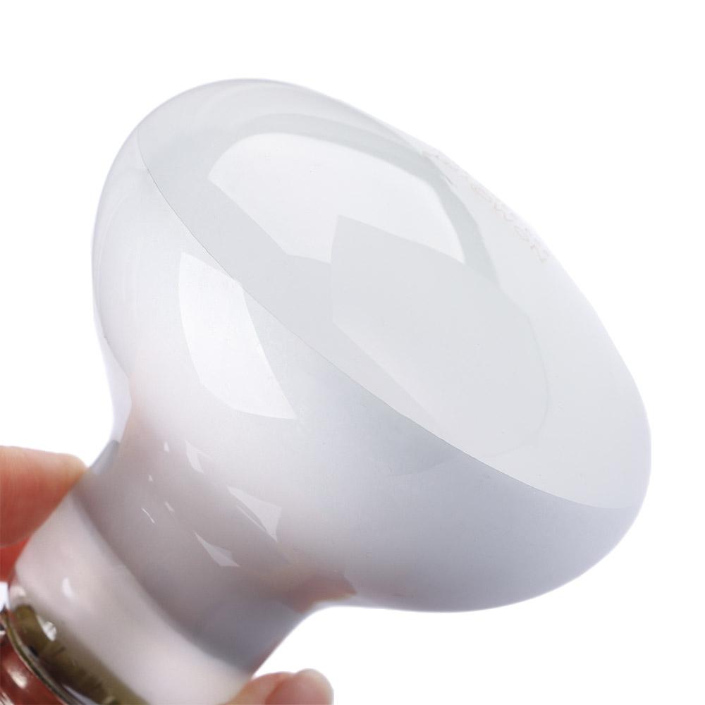 Lâmpada de Aquecimento para Ta - Basking Bulb Halogen avaliação e preço