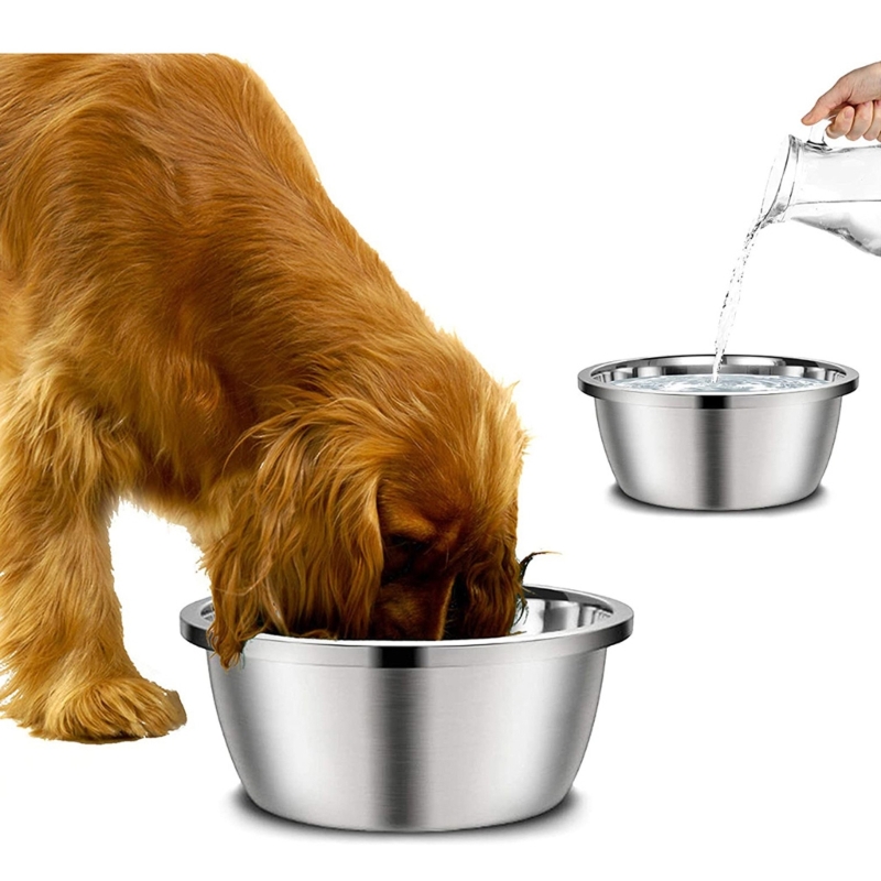 Alimentadores para cães de aço - Royal Canin Food Medium avaliação e preço