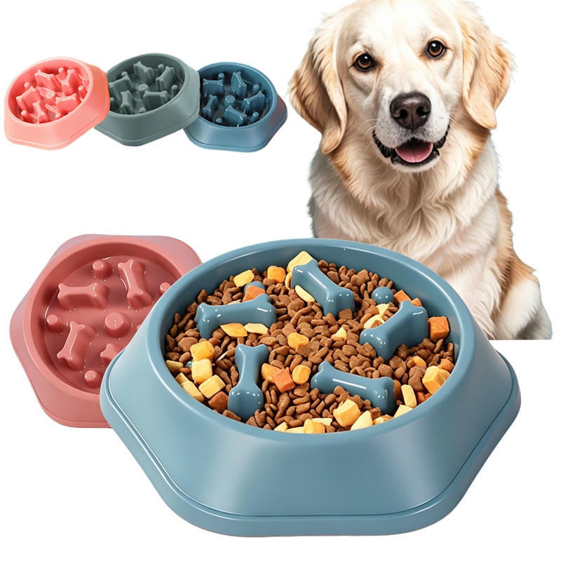 Alimentador lento para cães, t - Royal Canin Food Medium avaliação e preço