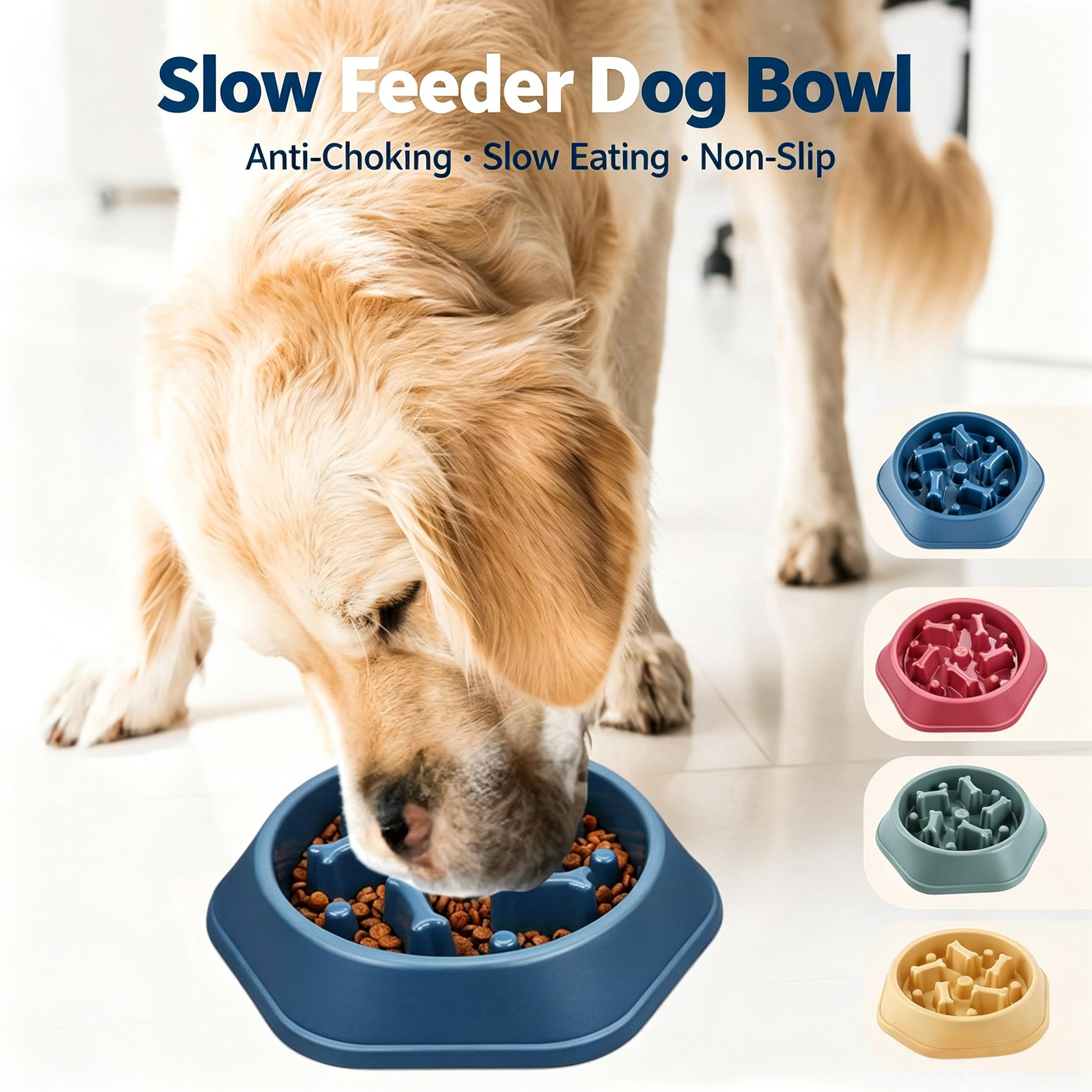 Alimentador lento para cães, t - Royal Canin Food Medium avaliação e preço
