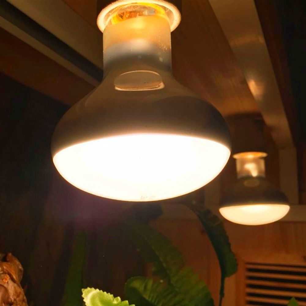 Lâmpada de Aquecimento para Ta - Basking Bulb Halogen avaliação e preço