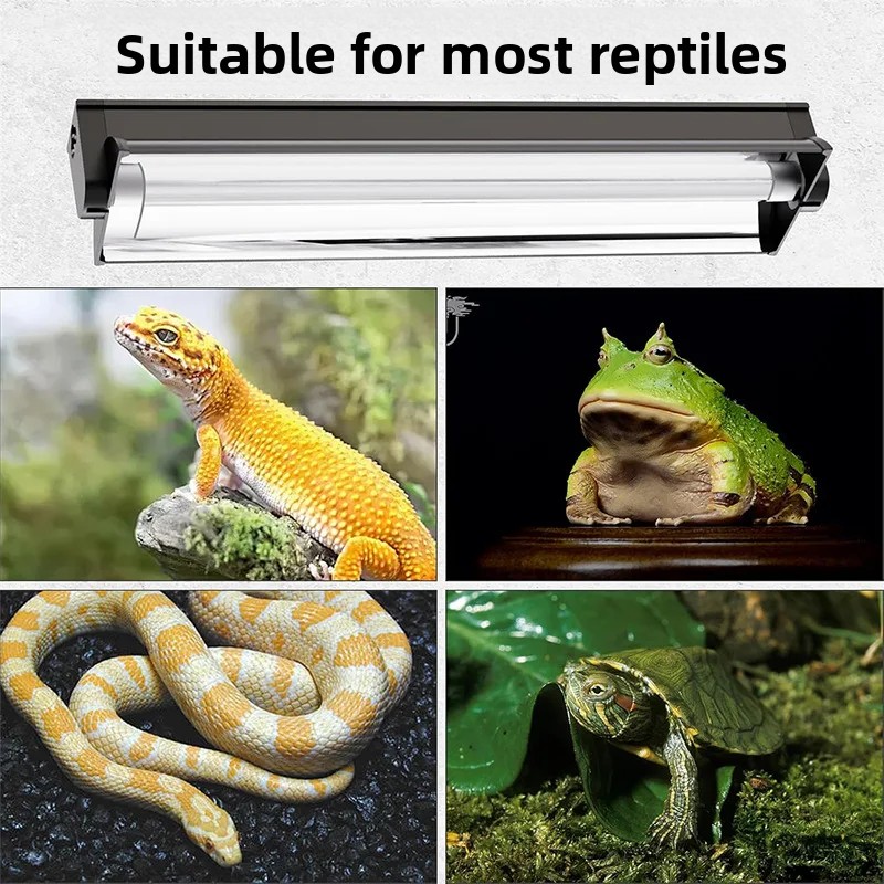 Kit de Iluminação para Répteis - Calcium Powder Reptile avaliação e preço